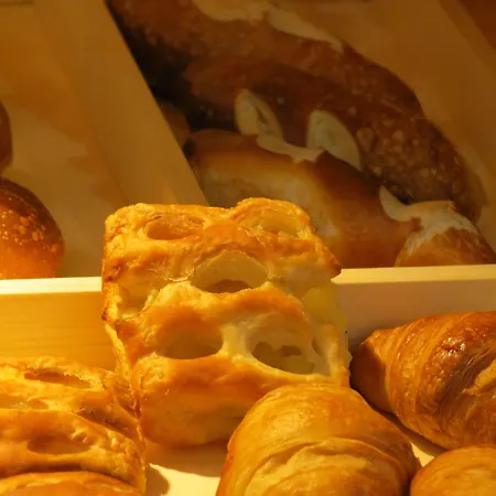 纽托尔酒店 乌尔姆