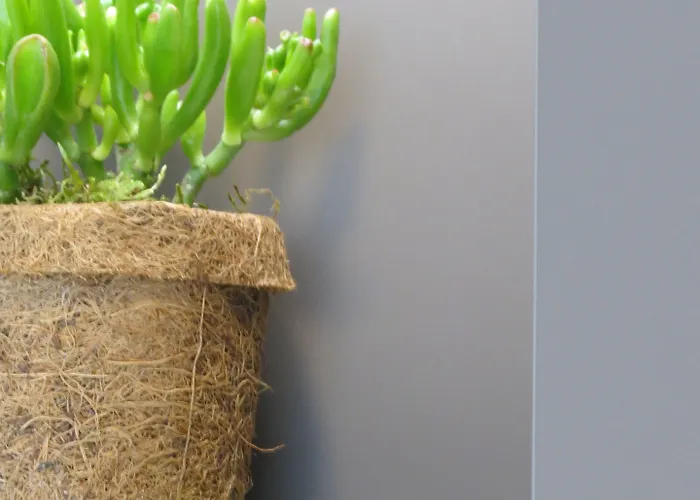 Ξενοδοχείο Neuthor 3*